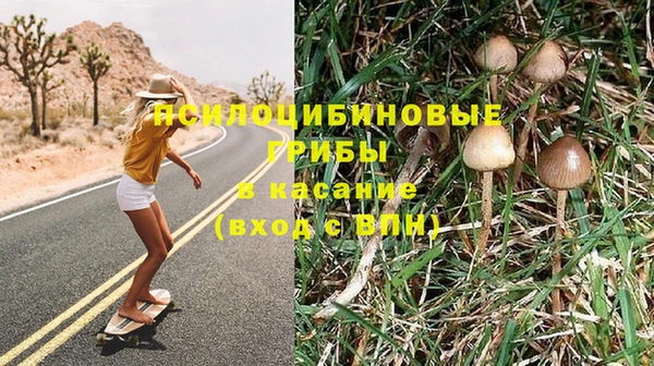 Альфа ПВП Армянск