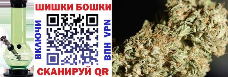 mega как войти  Суджа  Бошки марихуана ГИДРОПОН 